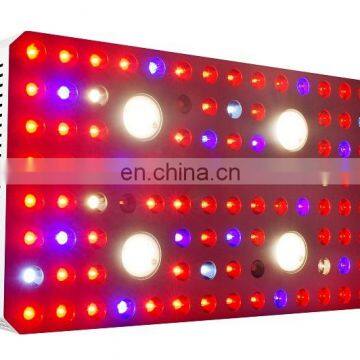 Meizhou Suppliers Factory Price Led Plant Grow Light for Indoor Garden photo-6