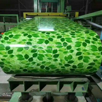 Hot Selling Double Coating PPGI Steel Coil Color Prepainted Steel Roll photo-5