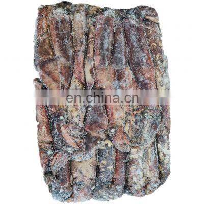 Whole Round China Frozen Black Squid Good Price Wholesale photo-3
