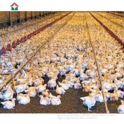 Poultry Farm Design With Bird Cage for Layers photo-2