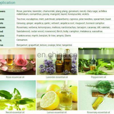 Market Price Essential Oil Extraction Distiller Extractor Machine photo-4