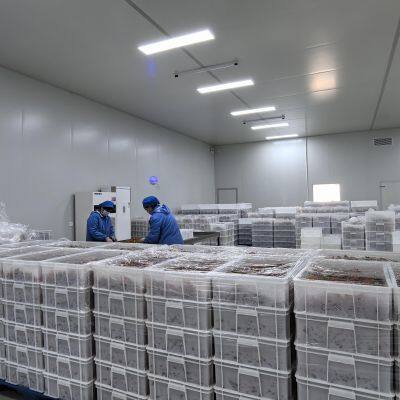 Quality OEM FDA Soft Gummy Candy and Sour Gummy Worm photo-5