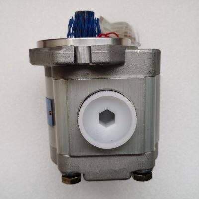 Hydraulic Pump CBTGB-F310-ALΦ9 for Wheel Loader