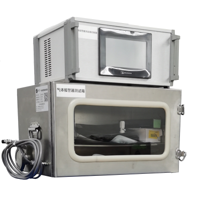 GAS Detectors Test Chamber