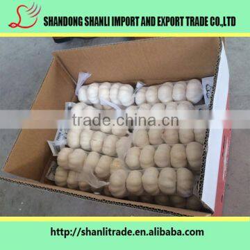 2016 new crop pure white garlic/fresh red Garlic /factory direct price garlic/wholesale white garlic