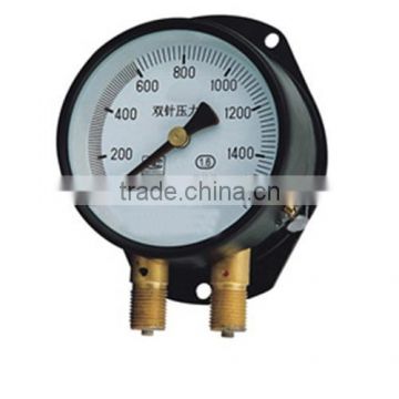 Double needle pressure gauge