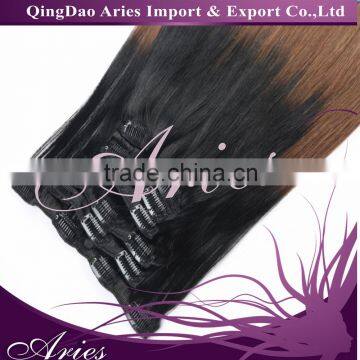 Two Tone Ombre Virgin Clip in Weft Brazilian Weave Real Human Hair