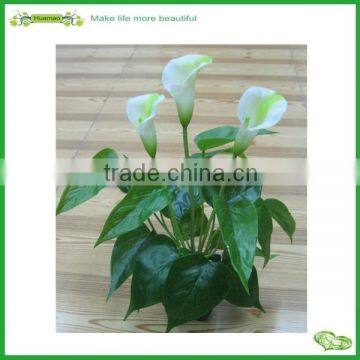 making artificial flower bonsai supplies