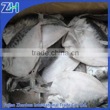 wholesale supplier of all types of frozen moonfish fish seafood