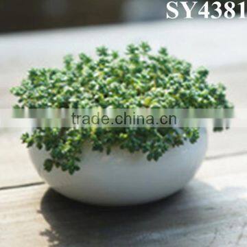 Cheap Indoor White Ceramic Flower Vase photo-5