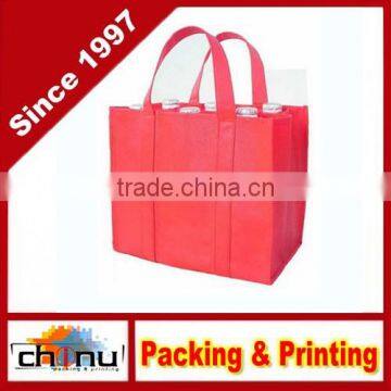 Promotion Shopping Packing Non Woven Bag (920019)