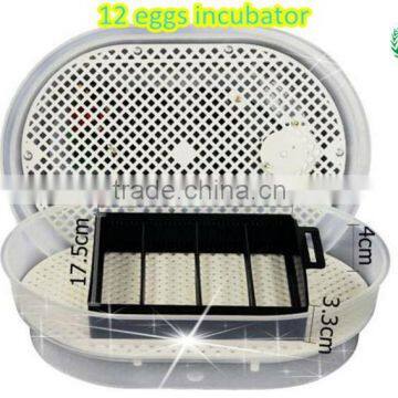 Hot Sale !!! JN12 Chicken Egg Incubator 12 Eggs Poultry Incubator Machine in Guangzhou photo-4
