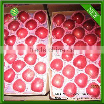 export huaniu apple company