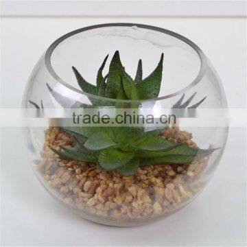 Gift Interior Decoration Artificial Plant Round Terrarium