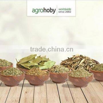 Turkish Rosemary Best Quality photo-2