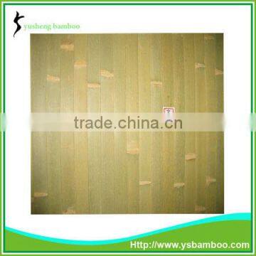 natural yellow bamboo wallpaper