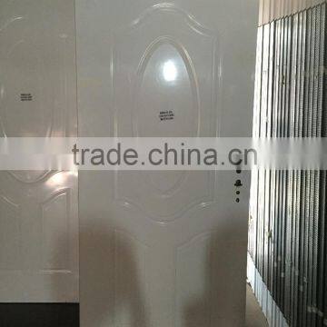 Baodu Brand Single Panel Steei Door Export to South America photo-3