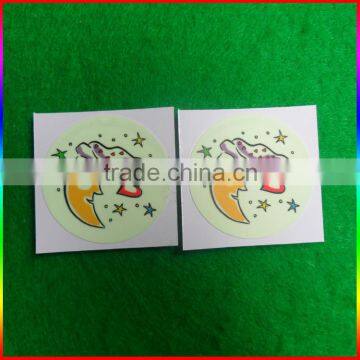 2016 New Design Glow in the Dark Luminous Sticker photo-3