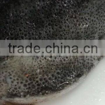 Lumpfish Cyclopterus Lumpus WR