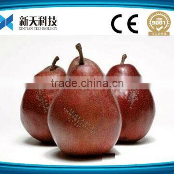 Hot sale!! Fruit mark CO2 laser marking machine