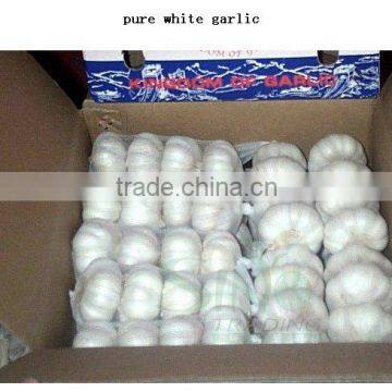 20kg Mesh Bag Garlic Price photo-4