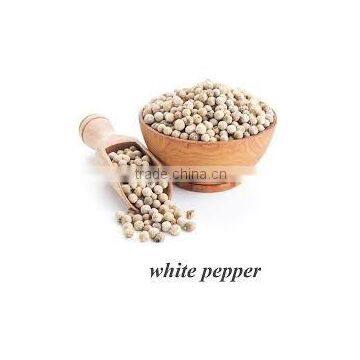 White Pepper photo-3