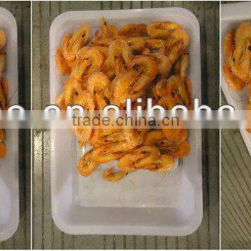 Frozen Dry shrimp King Prawn