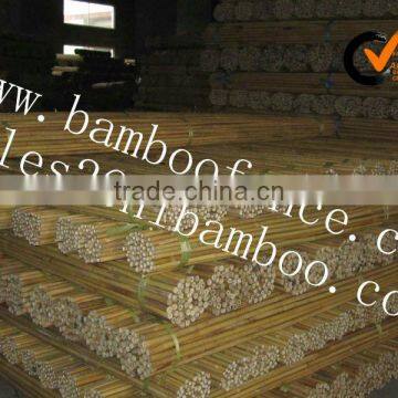 Inartificial natural cane bamboo for sale