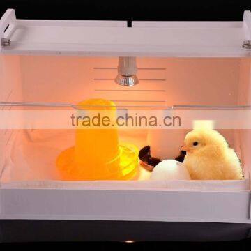 weiqian brand chicken brooder for sale, brooder for chicks