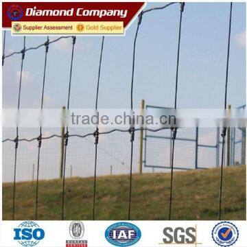 Anping ISO / CE /SGS Horse Fence Mesh For Sale