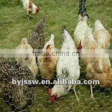 hexagonal wire mesh for animal feeding