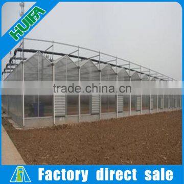 Agricultural Polycarbonate Greenhouse for Sale