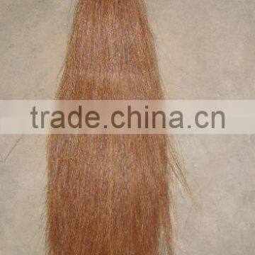 Most Popular Black Horse Tail Extension Low Price photo-4