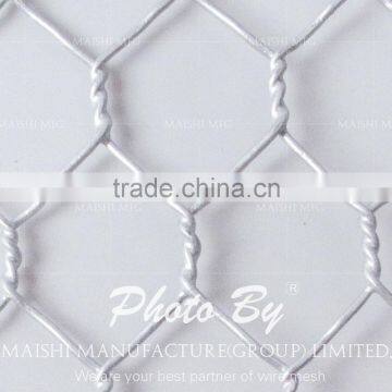 GI Hexagonal Mesh photo-2
