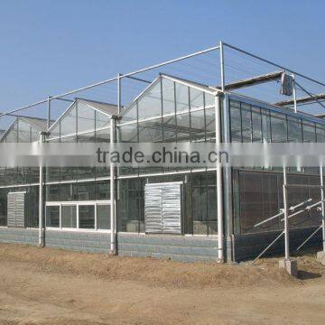 Plastic Greenhouses for Agricultur photo-5