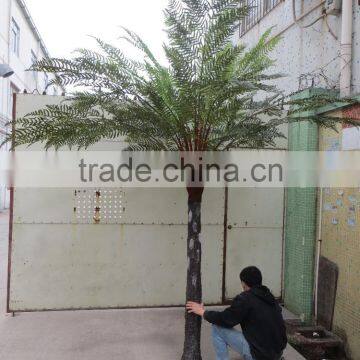 SJ020825 Wholesale Artificial Plant Tree/ 3-10m Sala Tree, Fiberglass Sala Tree photo-3