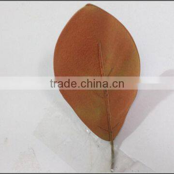 High Quality Artificial Magnolia Leaf