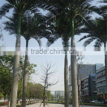 Royal Palm Tree Ornamental Artificial Washingtonia Robusta Palm Trees for Sale photo-2