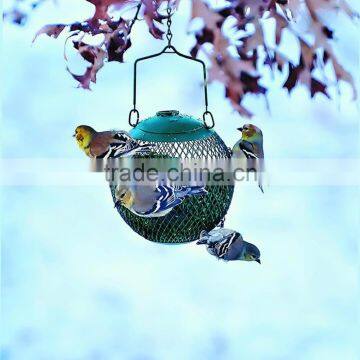 Hanging Humming Bird Feeder photo-2