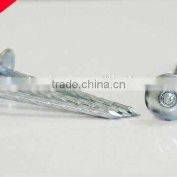 Best Selling Umbrella Head Roofing Nails in Africa photo-4