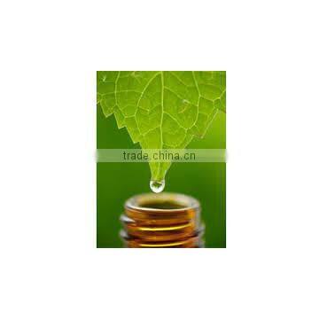 Mentha Oil photo-2