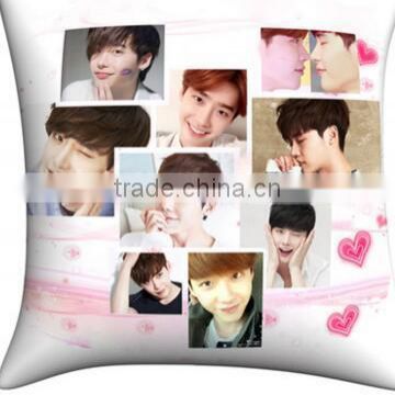 short plush 2way custom pillow DIY picture/picture pillow cover/case