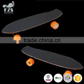 HSJ97 Direct Selling Electric Motor Skateboard Made in China Factory photo-3