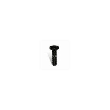 Black Zinc Plated Countersunk Metal Screws, Customized Special Flat Head Screw Hardware