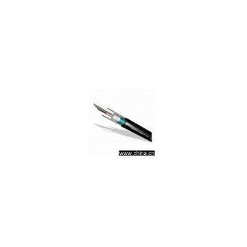 Aerial or Duct Optical Fiber Cable, Suitable for Local Trunk Line and Access Network