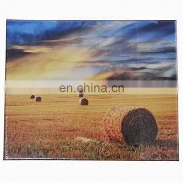 Cheap custom canvas printing