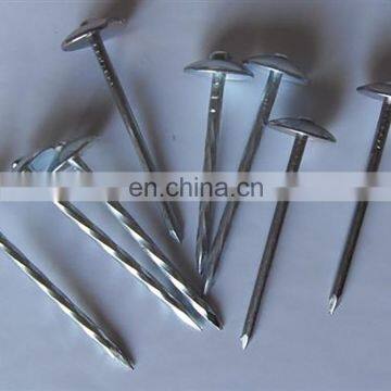 Galvanized Combination Roofing Nails Corrugated Ring Shank with Umbrella Head and Washer