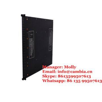 Triconex 9662-110