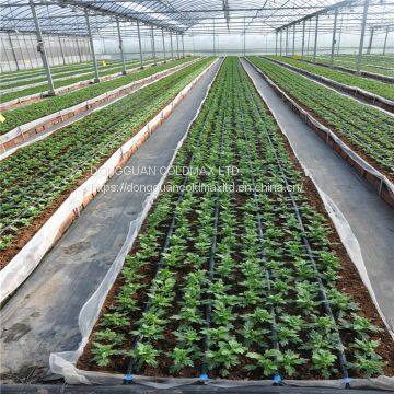 Drip Irrigation Tape for Agricultural Farm Irrigation Drip Irrigation System photo-3