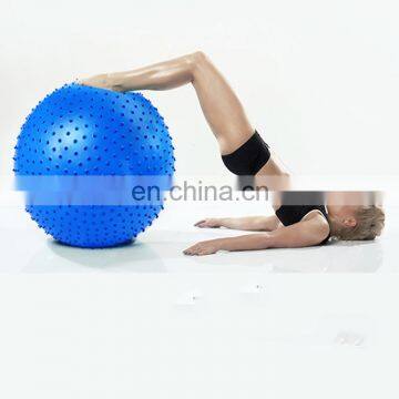 Custom Printed Pvc Yoga Massage Ball Exercise 55cm Pilates Ball